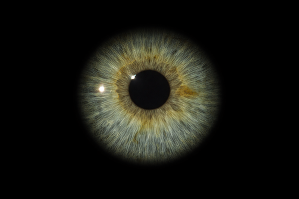 Photo iris — Art génératif 작가: Lola Petit, Meaux