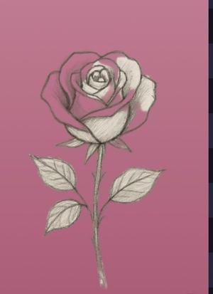 Rose ( catégorie fleur , lot disponible) — Technique mixte
