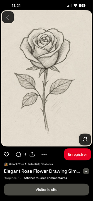 Rose ( catégorie fleur , lot disponible) — Technique mixte