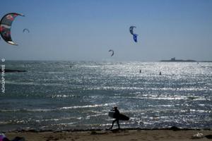 Contre jour planchiste — Photographie numérique