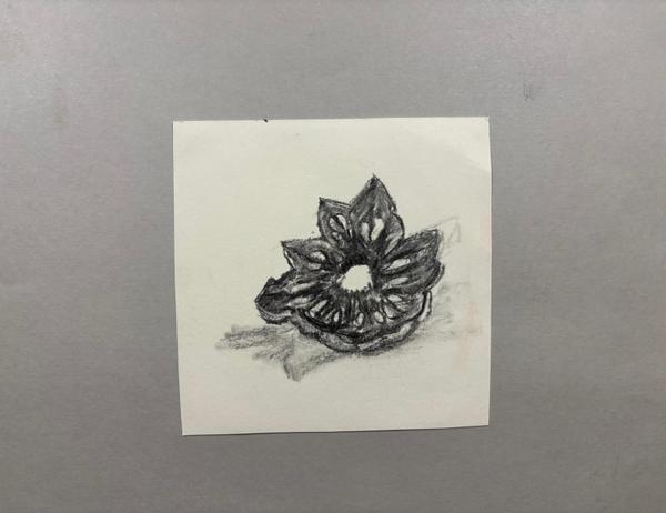 Pinecone centre — Charcoal on paper by Maeve Kneafsey, Dublin