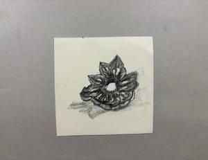 Pinecone centre — Crayon graphite