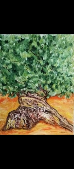 Hadj Zeitoun — Huile