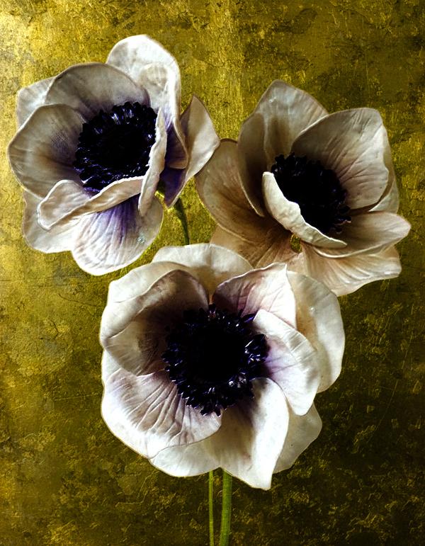 Trio d'Albâtre — Photographie numérique par antoine marelle, meung sur loire