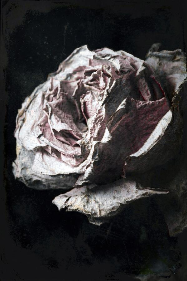 Nature Morte au Présent 01 — Photographie numérique par antoine marelle, meung sur loire