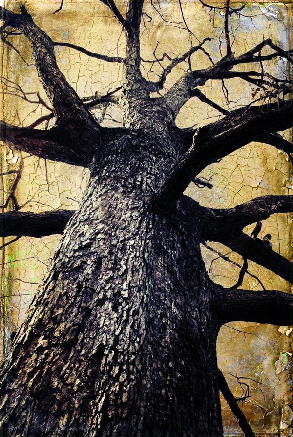 Sentinelle de Bronze — Photographie numérique par antoine marelle, meung sur loire