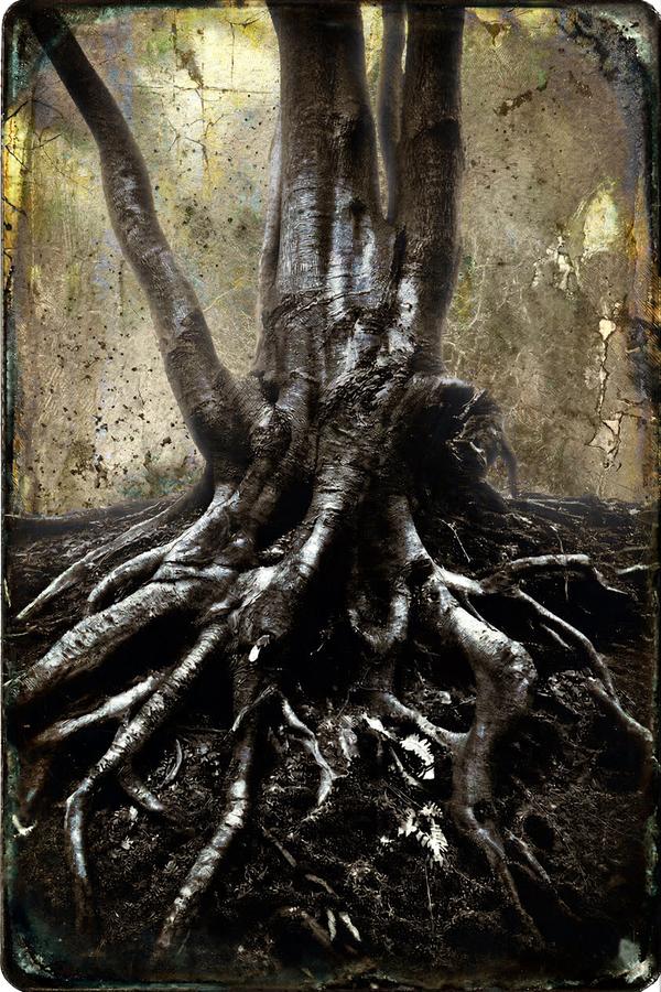 L'Éveil de l'Ancêtre — Photographie numérique par antoine marelle, meung sur loire