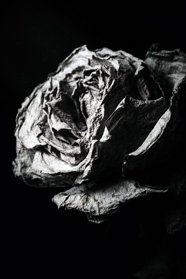 Nature Morte au Présent 02 — Photographie numérique par antoine marelle, meung sur loire