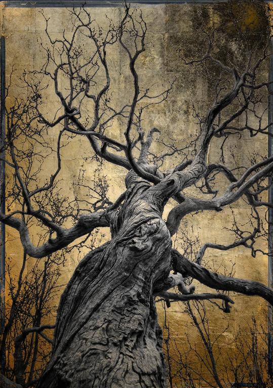 L'Âme d'Orbe — Art numérique par antoine marelle, meung sur loire