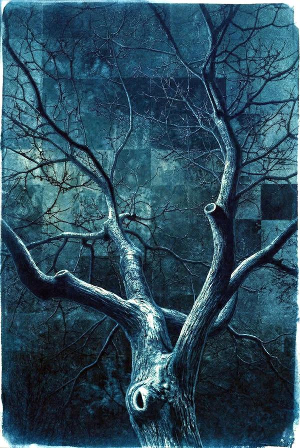 L'Ombre des Veines — Cyanotype par antoine marelle, meung sur loire