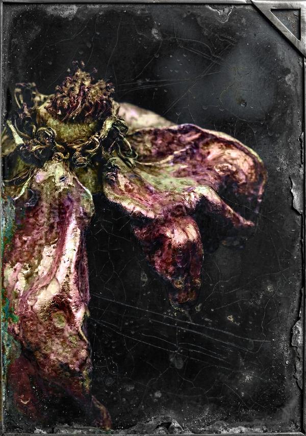 Nébuleuse Terrestre — Photographie numérique par antoine marelle, meung sur loire