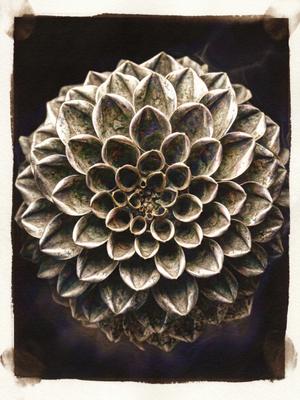 Le Cœur de Fibonacci — Photographie numérique