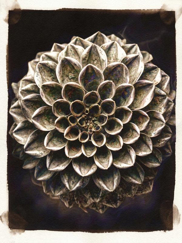 Le Cœur de Fibonacci — Photographie numérique par antoine marelle, meung sur loire