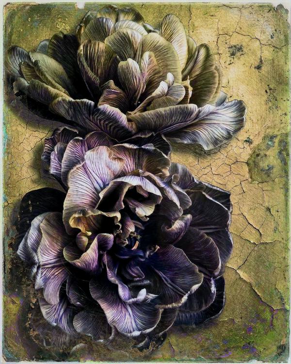 Floraison Byzantine — Art numérique par antoine marelle, meung sur loire