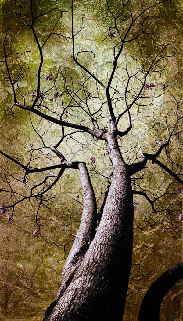 Entre Terre et Éther — Photographie numérique par antoine marelle, meung sur loire