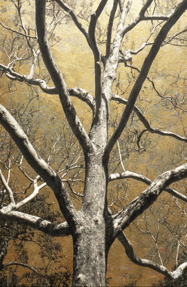 Canopée Solaire — Photographie numérique par antoine marelle, meung sur loire