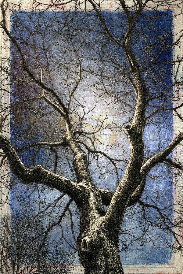 Les Nervures du Silence // The Veins of Silence — Art numérique par antoine marelle, meung sur loire