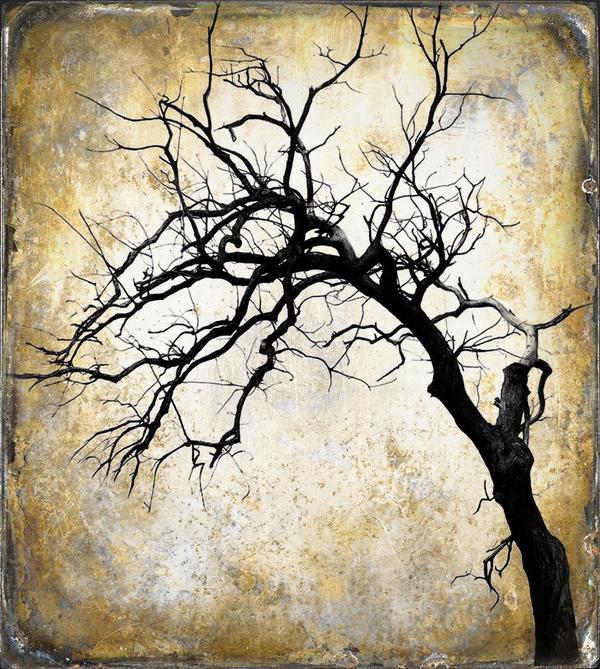 L'Écho du Silence — Art numérique par antoine marelle, meung sur loire