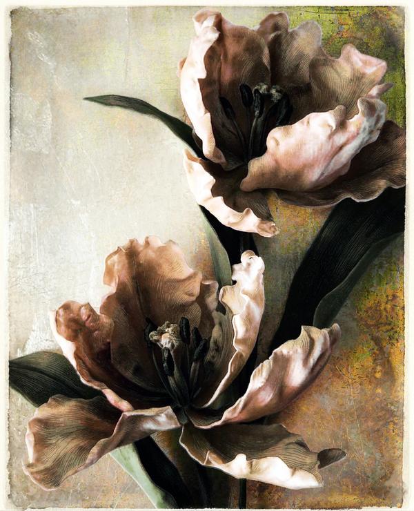 Murmures de Pétales — Photographie numérique par antoine marelle, meung sur loire