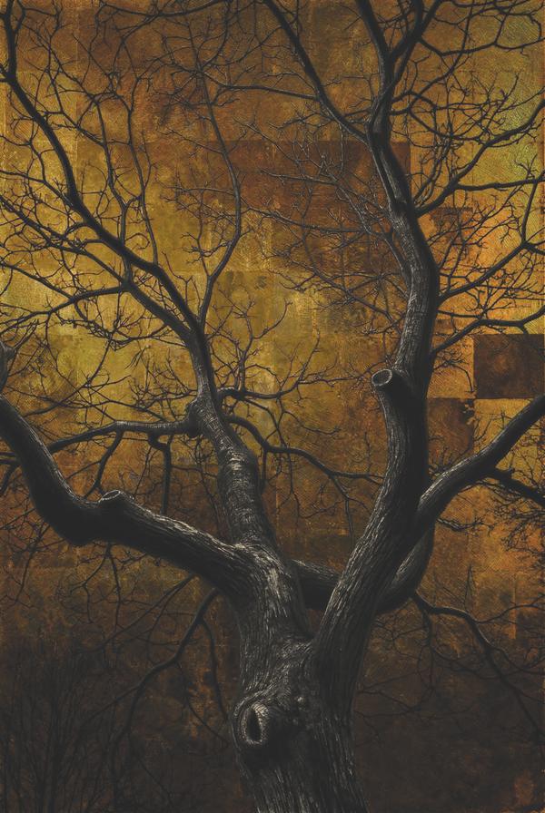 Trame — Art numérique par antoine marelle, meung sur loire