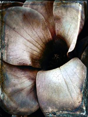 L'Éternité Oxydée — Photographie numérique