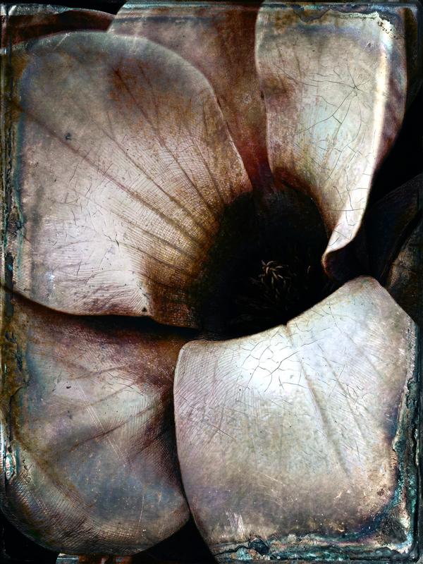 Œuvre de antoine marelle, Photographie d'art