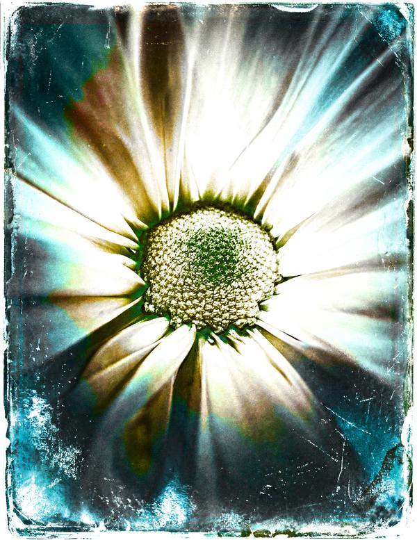 L'Éclosion de Lumière — Art numérique par antoine marelle, meung sur loire