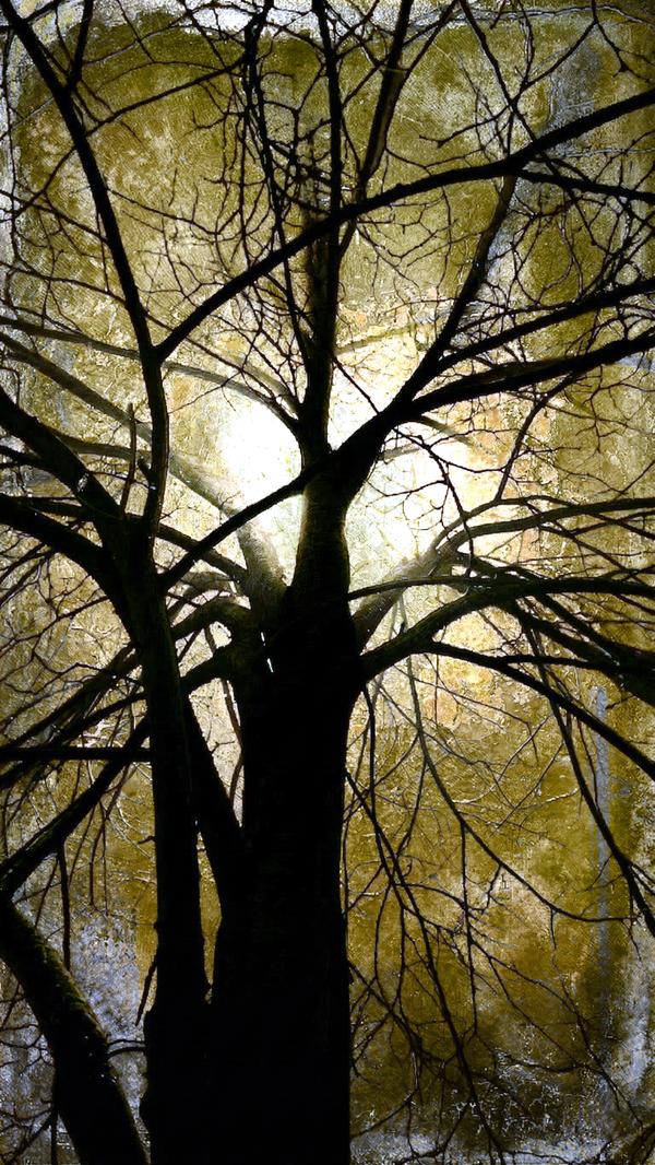 L’Arbre à Songes — Art numérique par antoine marelle, meung sur loire