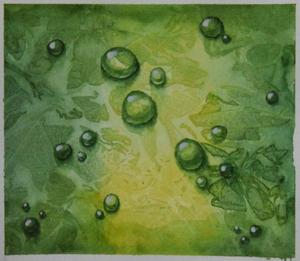 Germination — Aquarelle